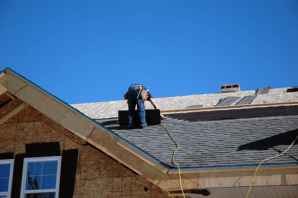 Best Roof Gutter Cleaning  in Andover, MN