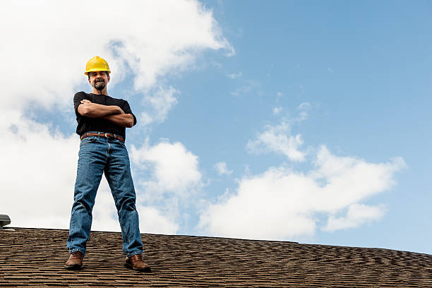 Best Metal Roofing Contractor  in Andover, MN